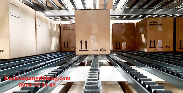 Hệ thống kệ đỡ thùng carton (Carton Flow Rack Systems)